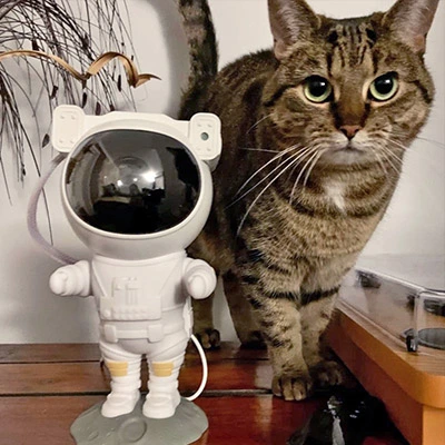 cat next to Keilini Astronaut Galaxy Projector